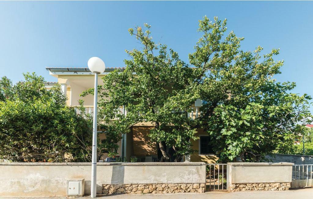 Apartman Ivanka Apartman Vir Kültér fotó